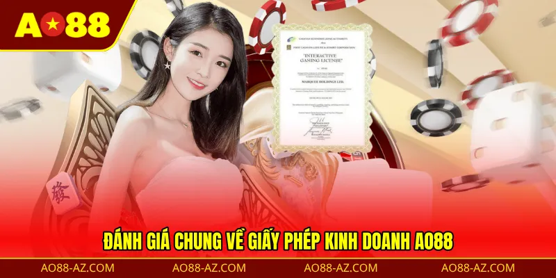 Đánh giá chung về giấy phép kinh doanh AO88