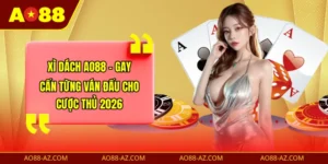 Xì Dách AO88